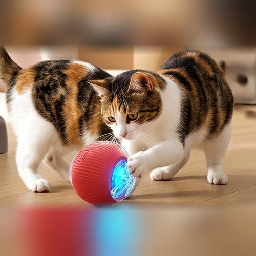 Balle interactive pour chat à déplacement aléatoire, rechargeable USB