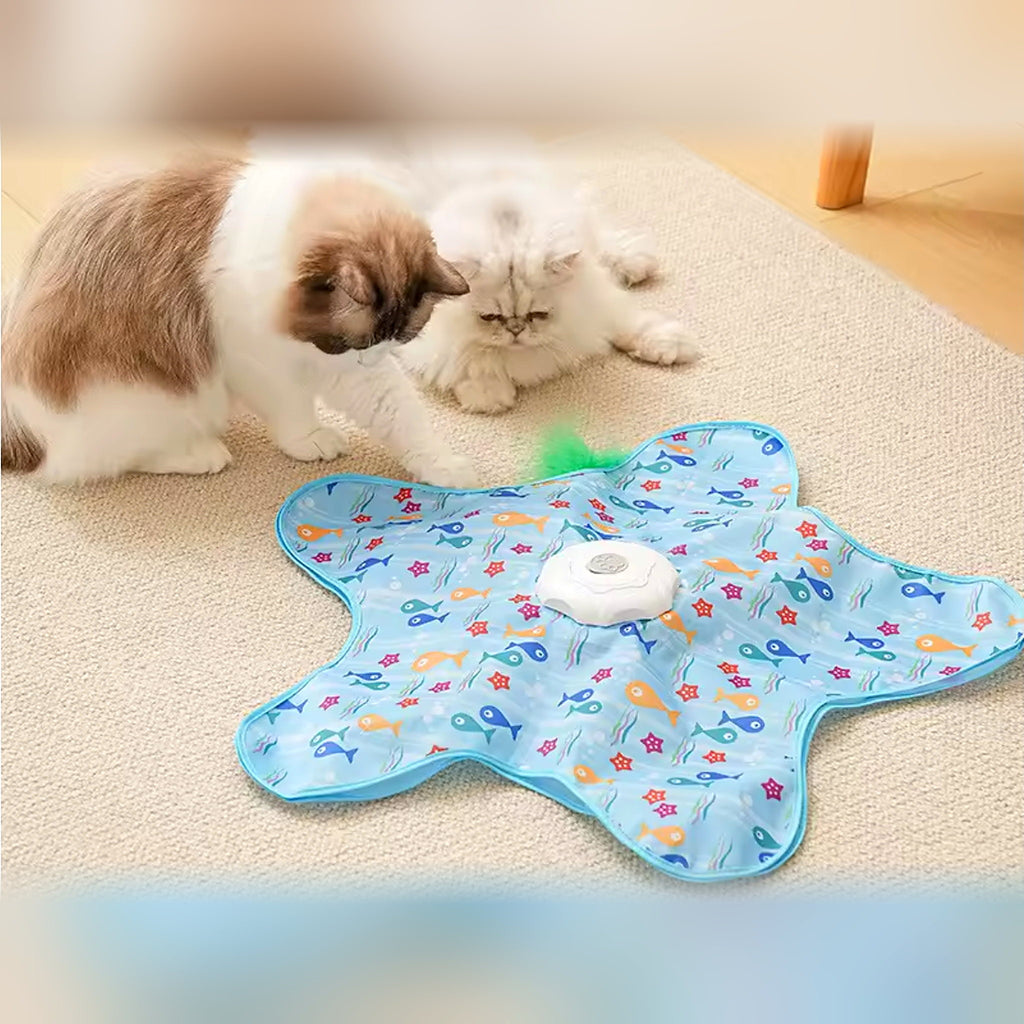 Jouet interactif pour chat avec plume qui surgit sous une housse en tissu