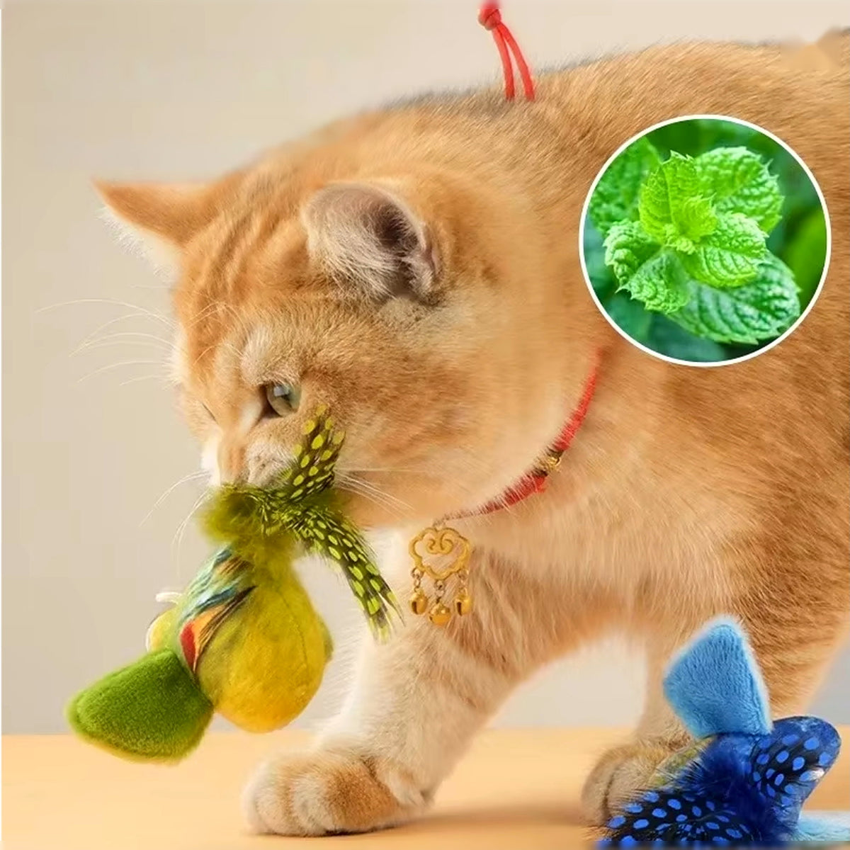 Peluche oiseau pour chat, coloris bleu, gris ou vert